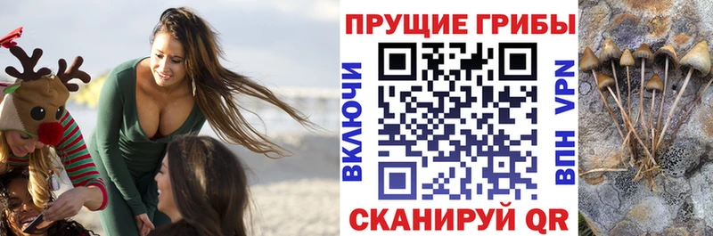 кракен ссылки  Кохма  Галлюциногенные грибы мухоморы 